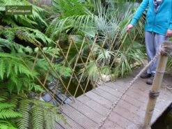 Bamboe Harmonica Trellis 90 X 180 Cm