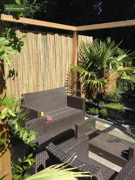 Bamboe Rolscherm Naturel 150 X 180 Cm - Afbeelding 2