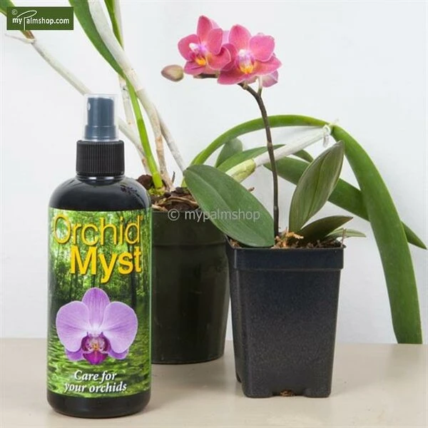 Orchid Myst 750ml - Afbeelding 3