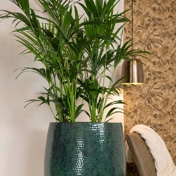 Thom Hoog - Ocean - D30H49 Cm - Afbeelding 2