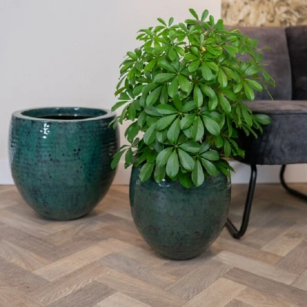 Thom - Ocean - D54H44 Cm - Afbeelding 3