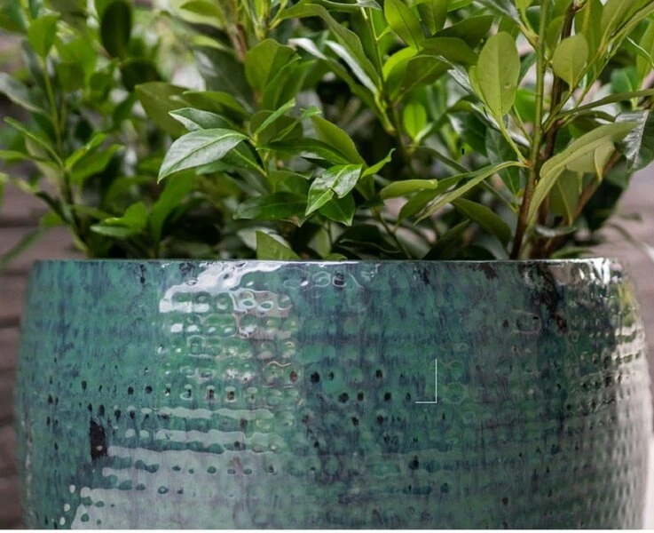 Thom - Ocean - D54H44 Cm - Afbeelding 4