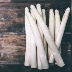 Asparagus Officinalis Gijnlim - Totale Hoogte 55-65 Cm - Pot 2 Ltr