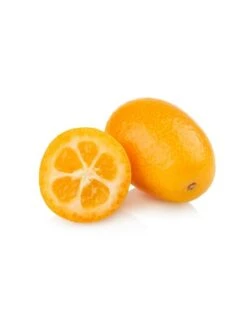 Citrus Kumquat - Stam 15-25 Cm - Totale Hoogte 40-50 Cm - Pot Ø 15 Cm