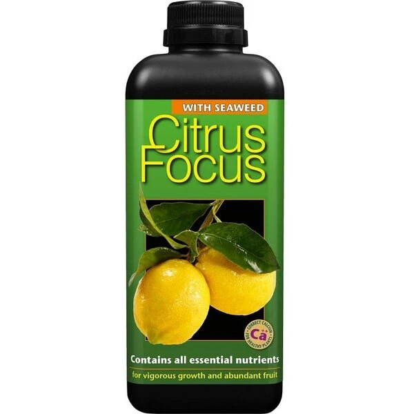 Citrus Focus - 1000 Ml